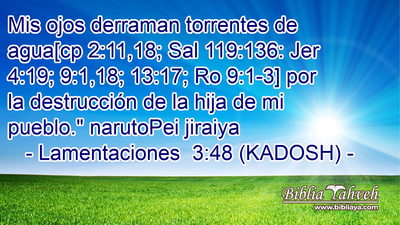  Mis ojos derraman torrentes de agua[cp 2:11,18; Sal 119:136: Jer 4:19; 9:1,18; 13:17; Ro 9:1-3] por la destrucción de la hija de mi pueblo.