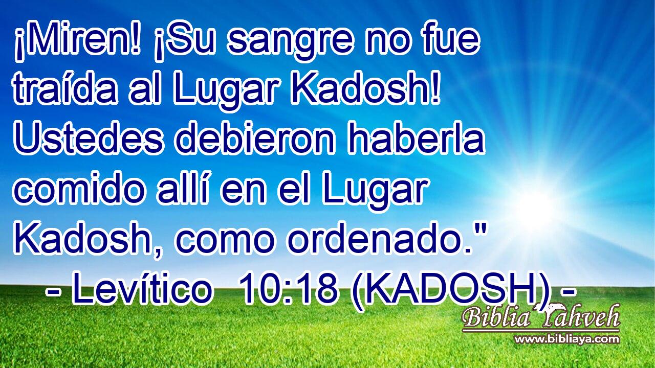  ¡Miren! ¡Su sangre no fue traída al Lugar Kadosh! Ustedes debieron haberla comido allí en el Lugar Kadosh, como ordenado.