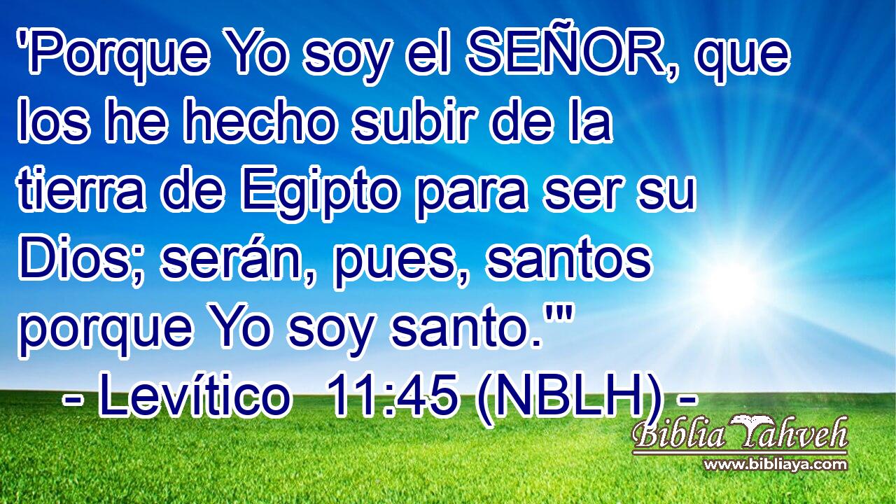  'Porque Yo soy el SEÑOR, que los he hecho subir de la tierra de Egipto para ser su Dios; serán, pues, santos porque Yo soy santo.'