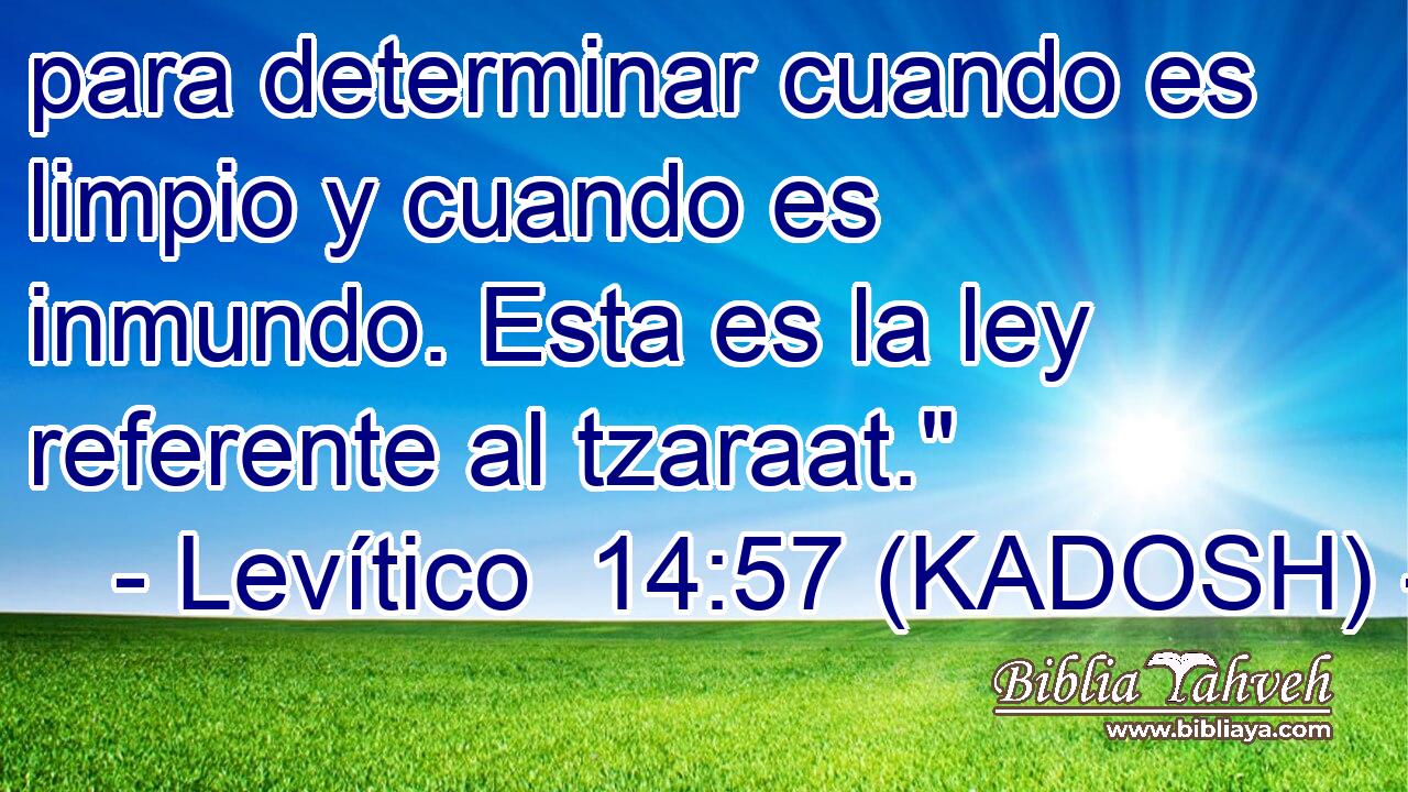  para determinar cuando es limpio y cuando es inmundo. Esta es la ley referente al tzaraat.