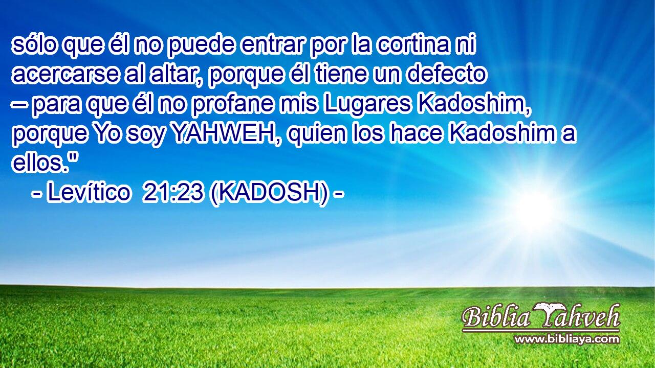  sólo que él no puede entrar por la cortina ni acercarse al altar, porque él tiene un defecto – para que él no profane mis Lugares Kadoshim, porque Yo soy YAHWEH, quien los hace Kadoshim a ellos.