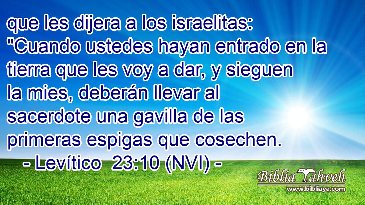  que les dijera a los israelitas: 