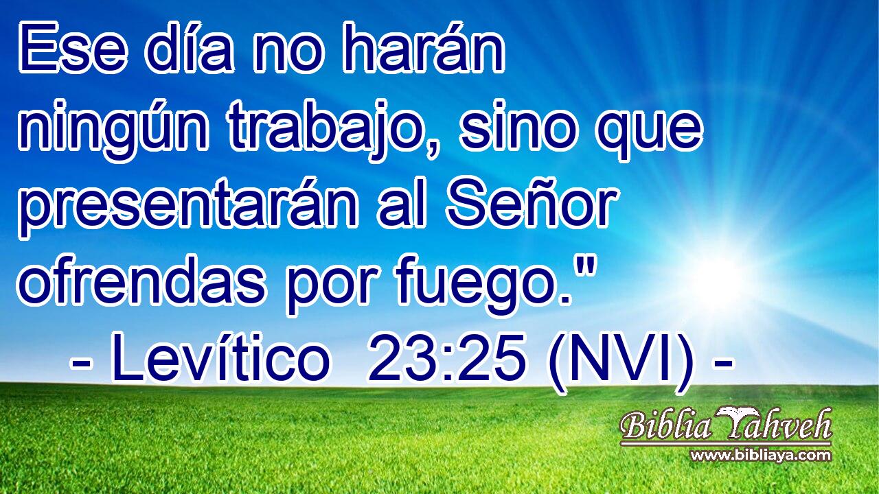  Ese día no harán ningún trabajo, sino que presentarán al Señor ofrendas por fuego.