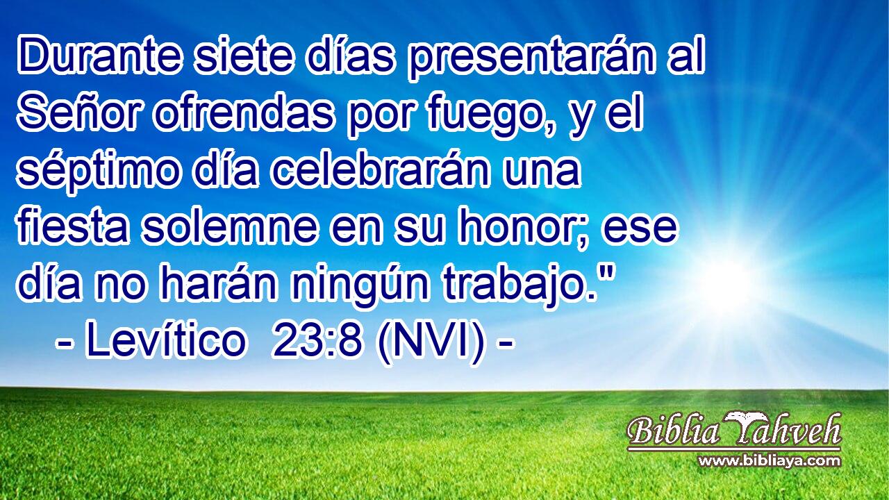  Durante siete días presentarán al Señor ofrendas por fuego, y el séptimo día celebrarán una fiesta solemne en su honor; ese día no harán ningún trabajo.
