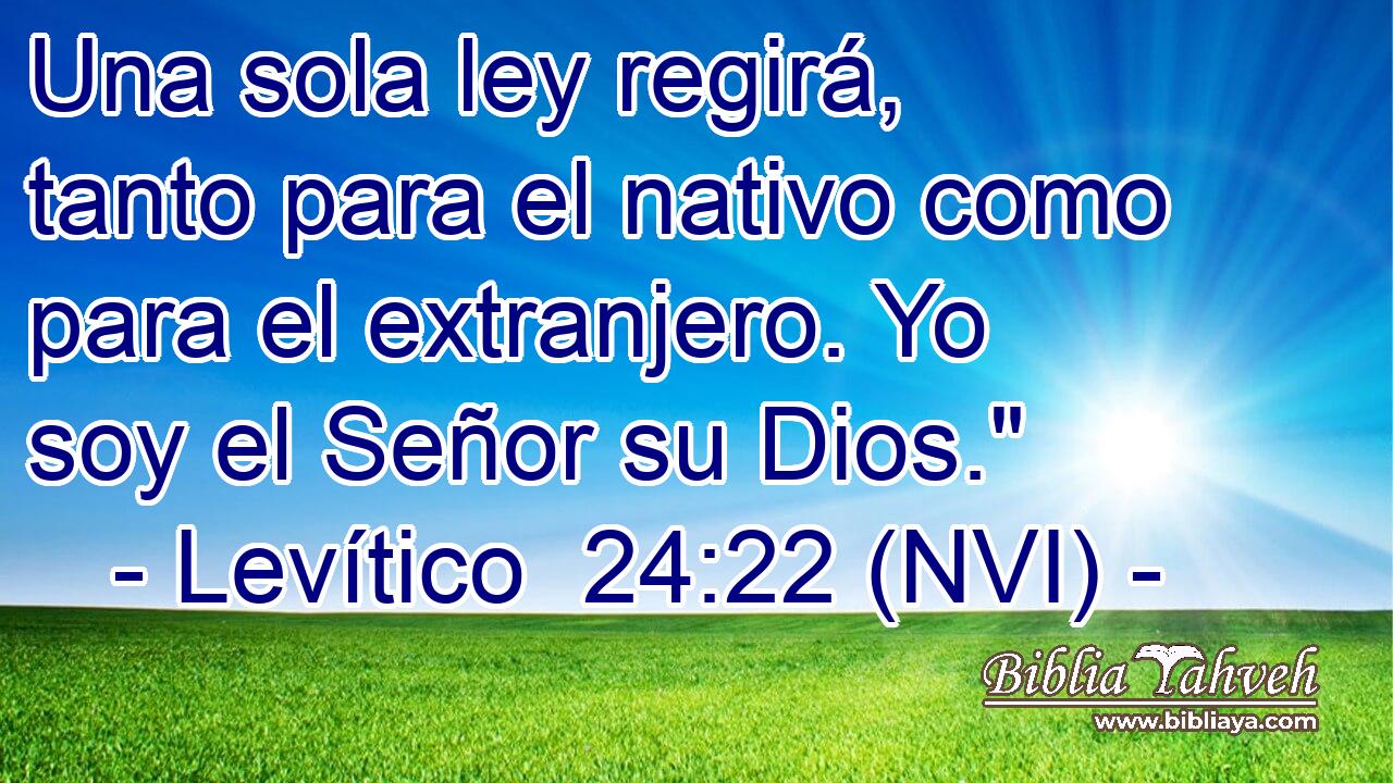  Una sola ley regirá, tanto para el nativo como para el extranjero. Yo soy el Señor su Dios.