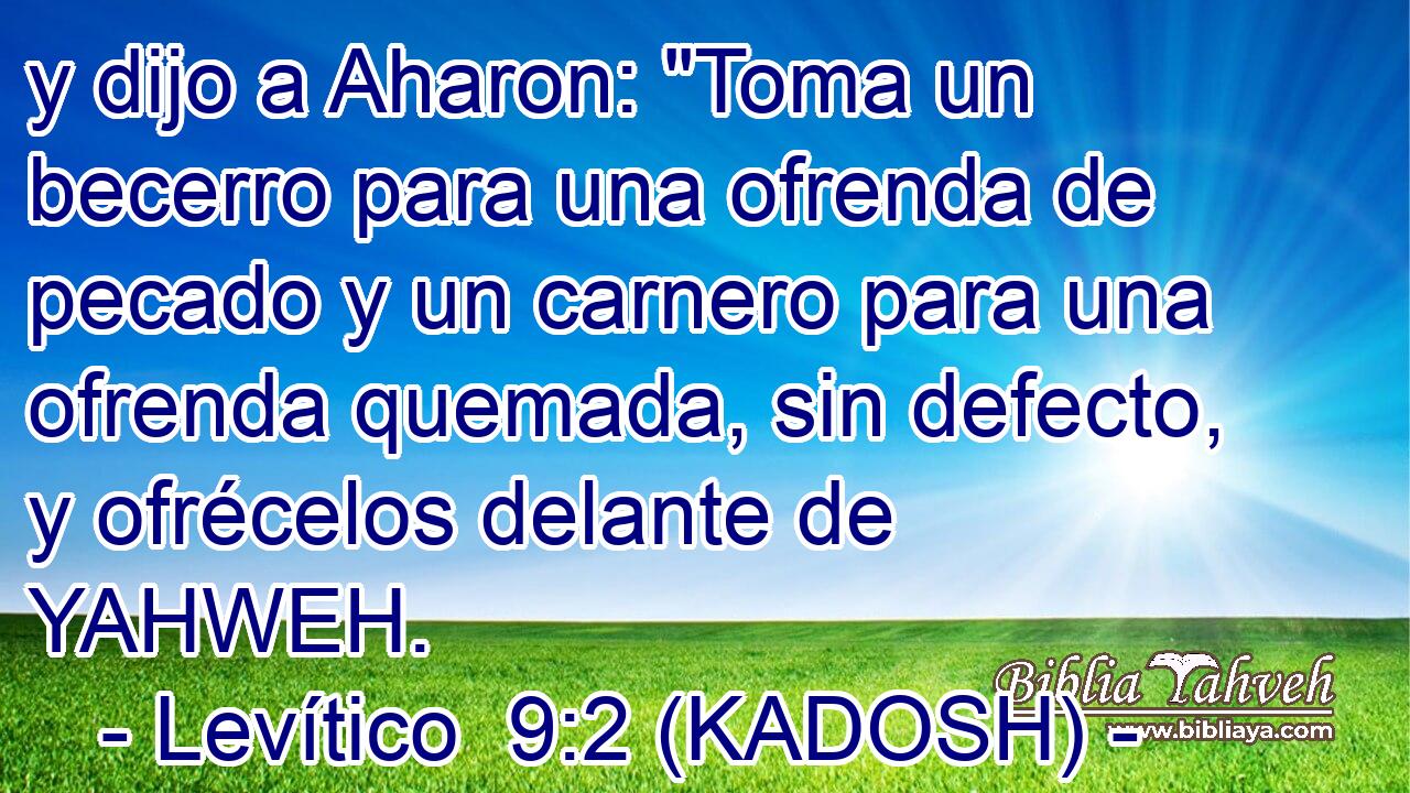  y dijo a Aharon: 