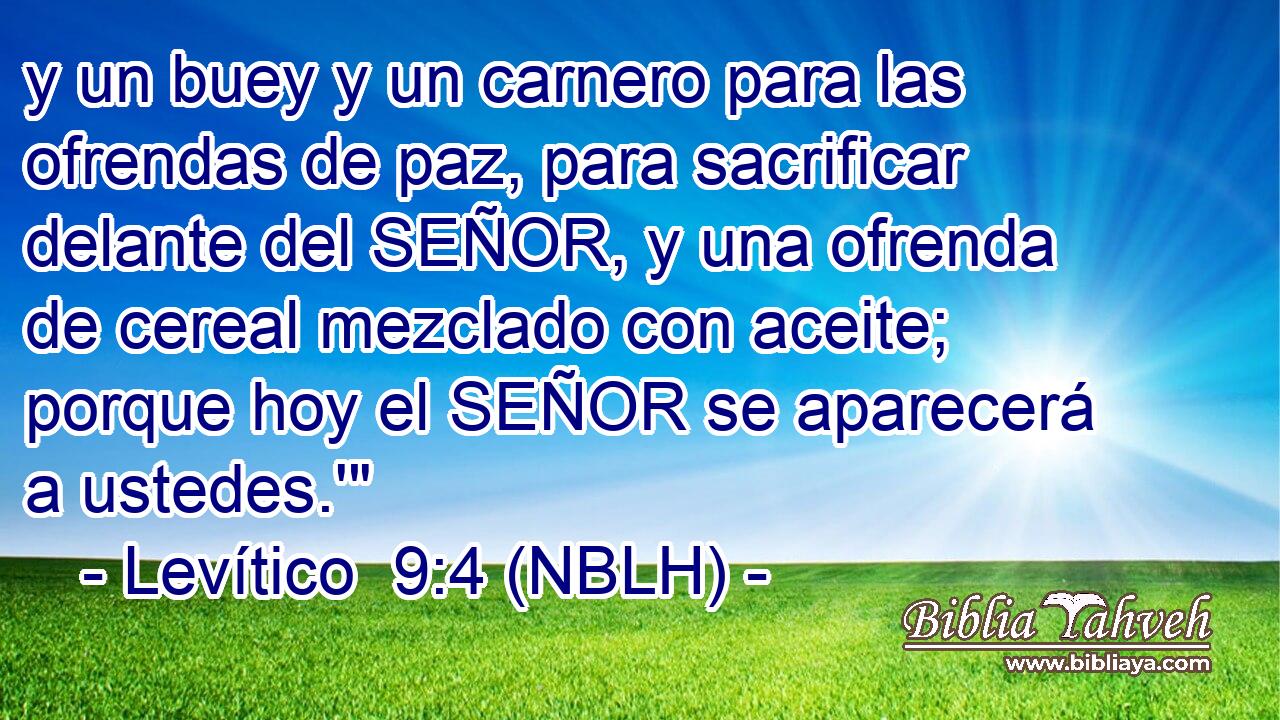  y un buey y un carnero para las ofrendas de paz, para sacrificar delante del SEÑOR, y una ofrenda de cereal mezclado con aceite; porque hoy el SEÑOR se aparecerá a ustedes.'