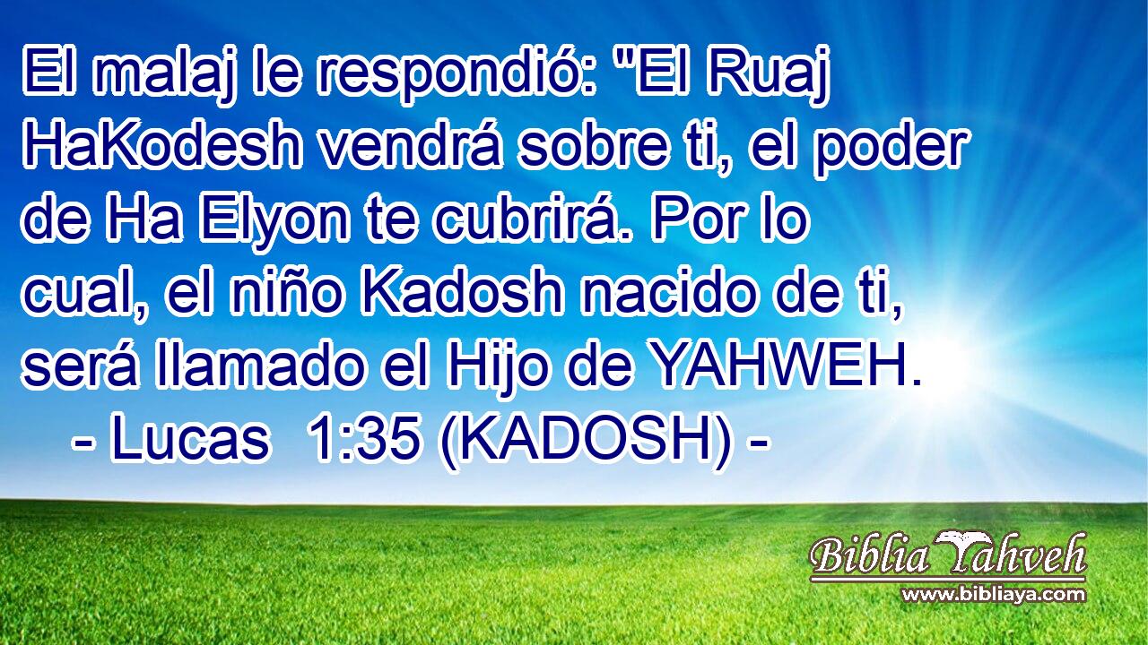  El malaj le respondió: 