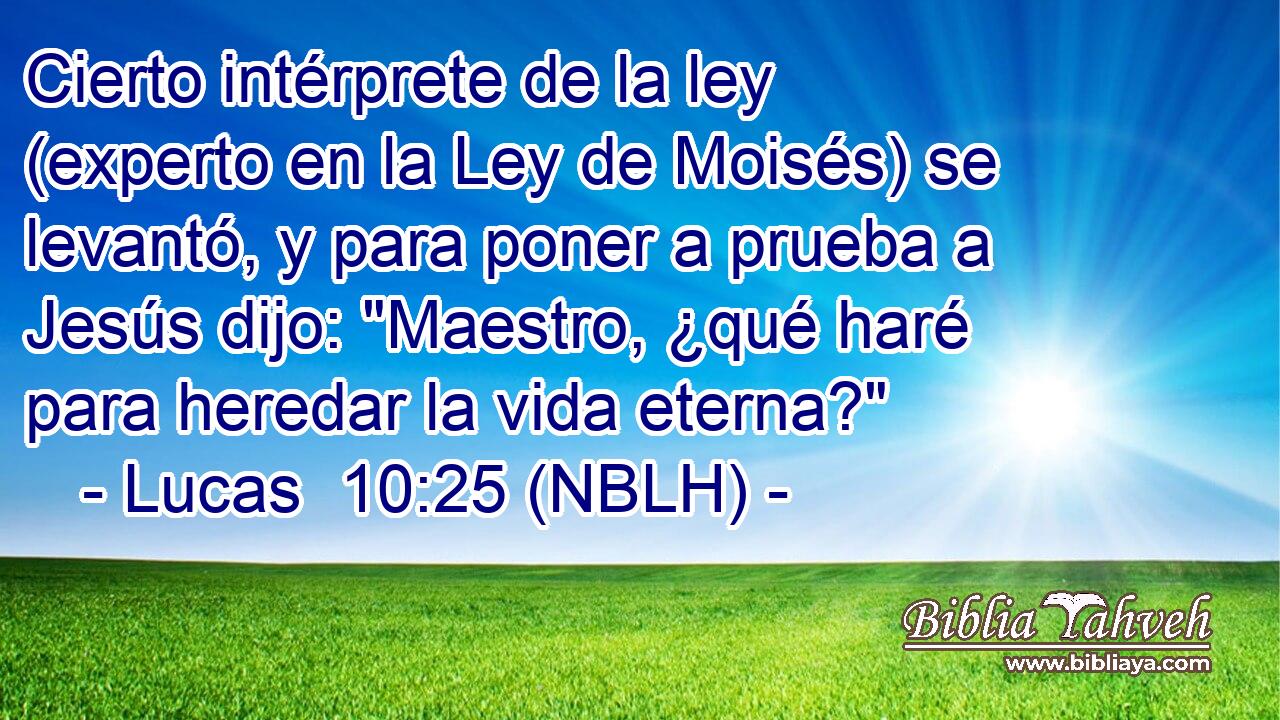  Cierto intérprete de la ley (experto en la Ley de Moisés) se levantó, y para poner a prueba a Jesús dijo: 