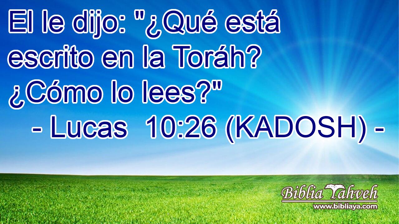  El le dijo: 