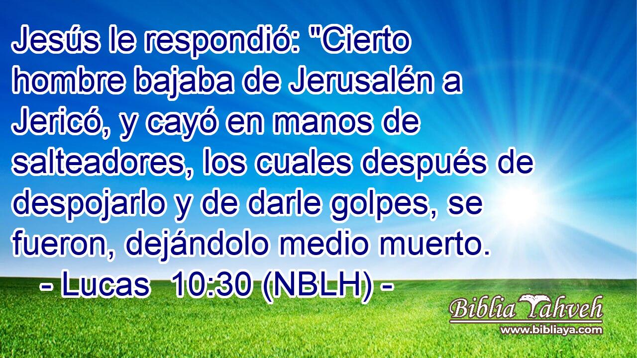  Jesús le respondió: 