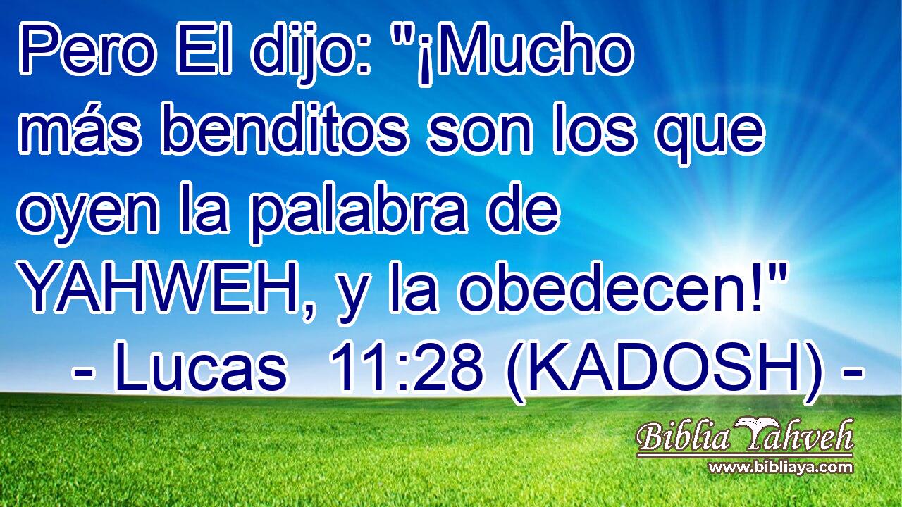  Pero El dijo: 