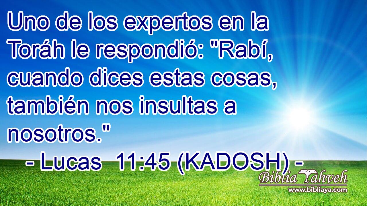  Uno de los expertos en la Toráh le respondió: 