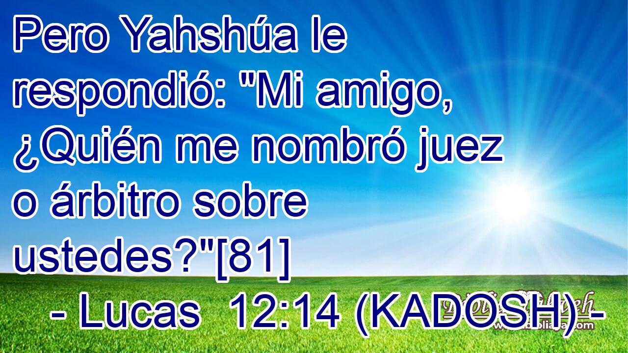  Pero Yahshúa le respondió: 