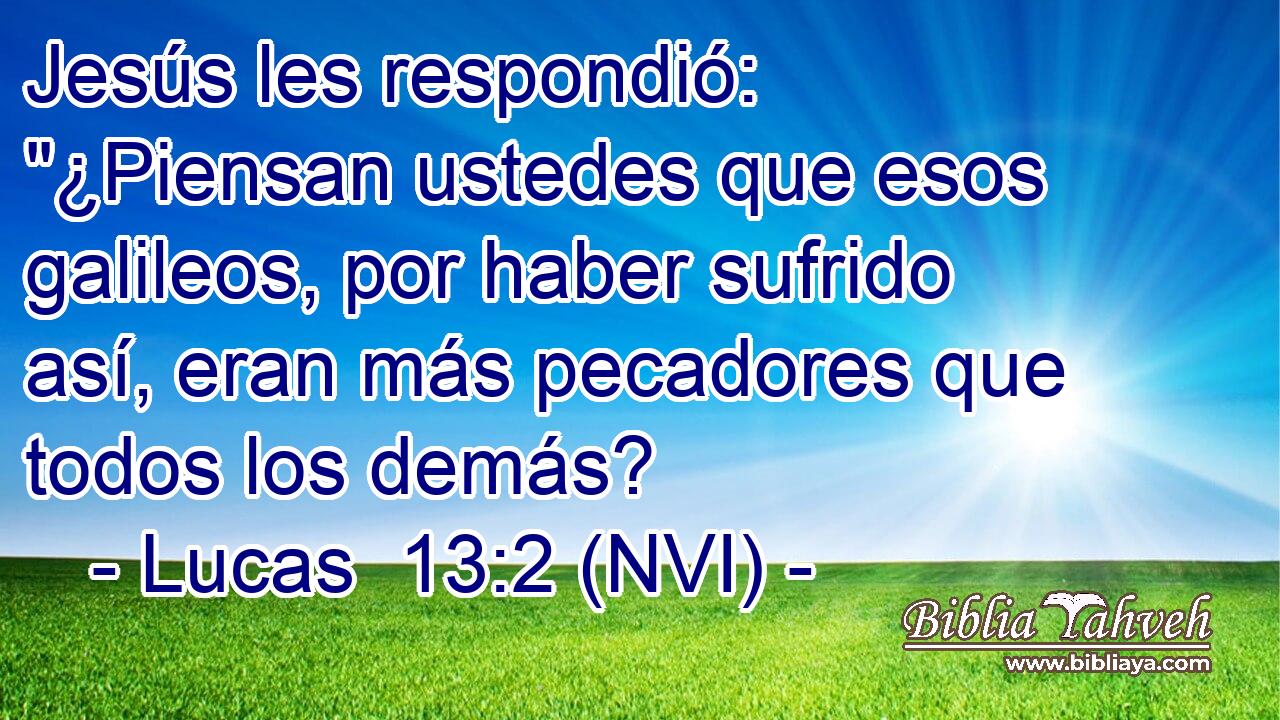  Jesús les respondió: 