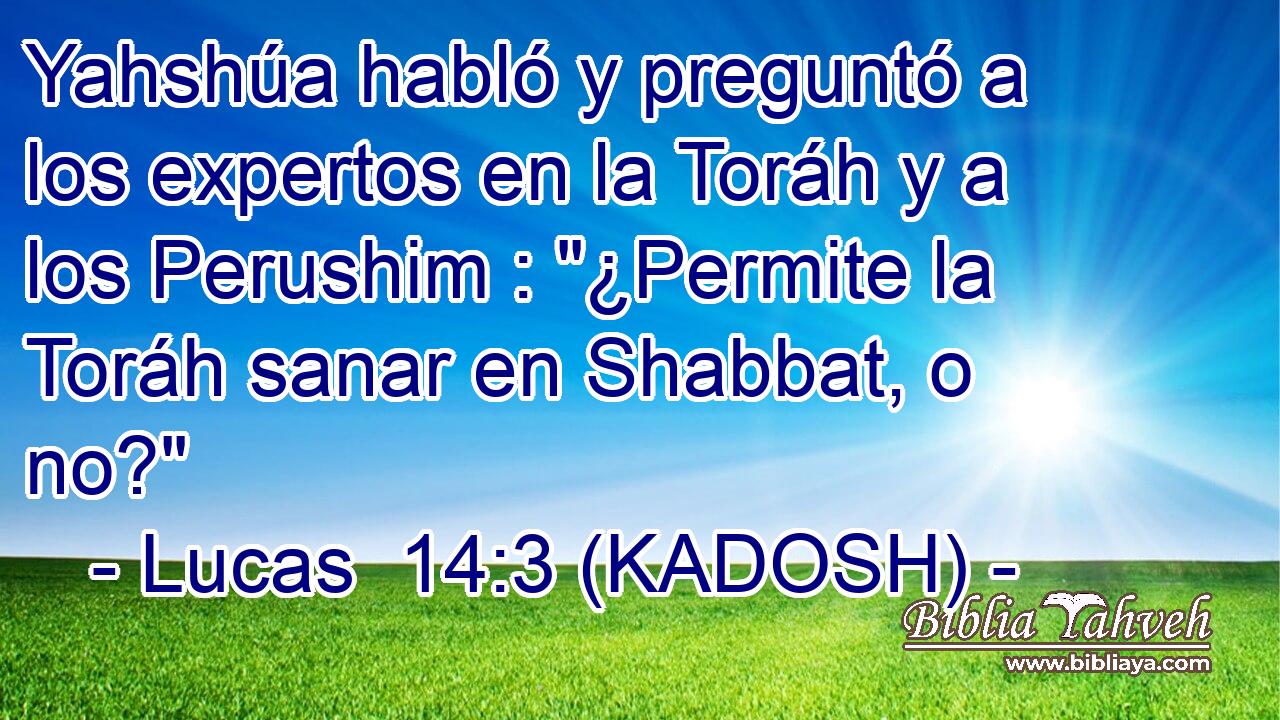  Yahshúa habló y preguntó a los expertos en la Toráh y a los Perushim : 