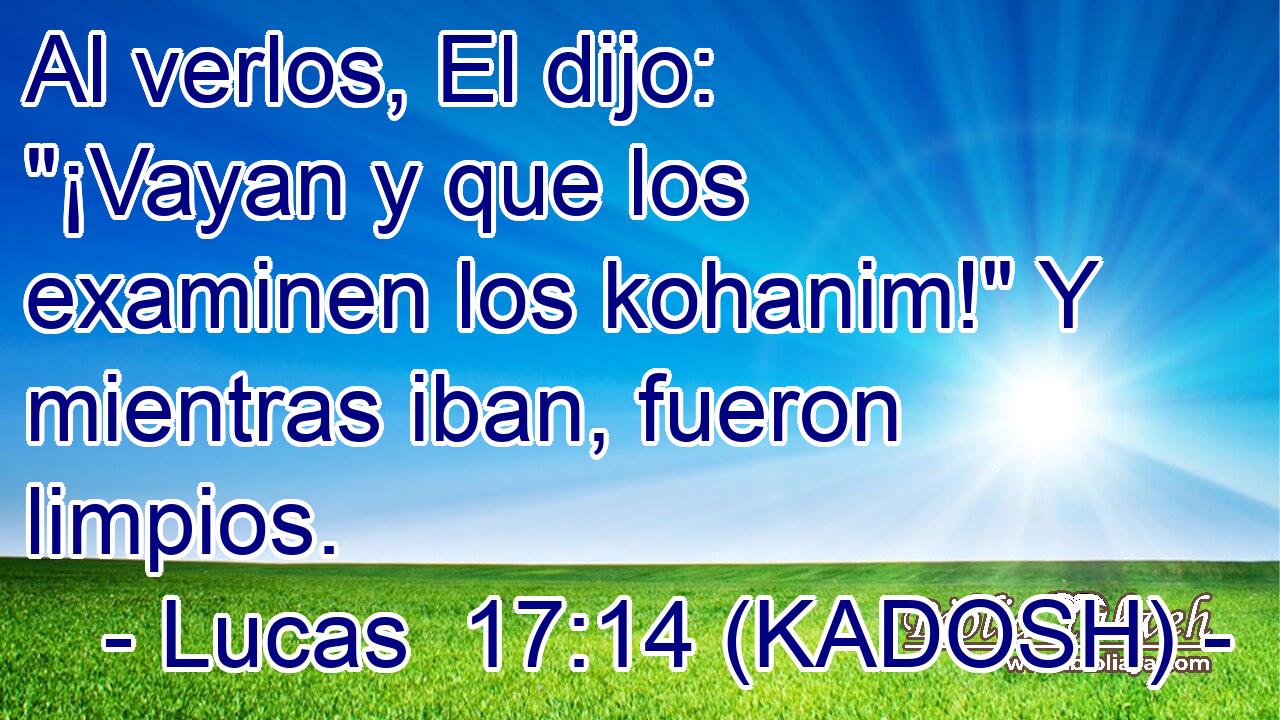  Al verlos, El dijo: 