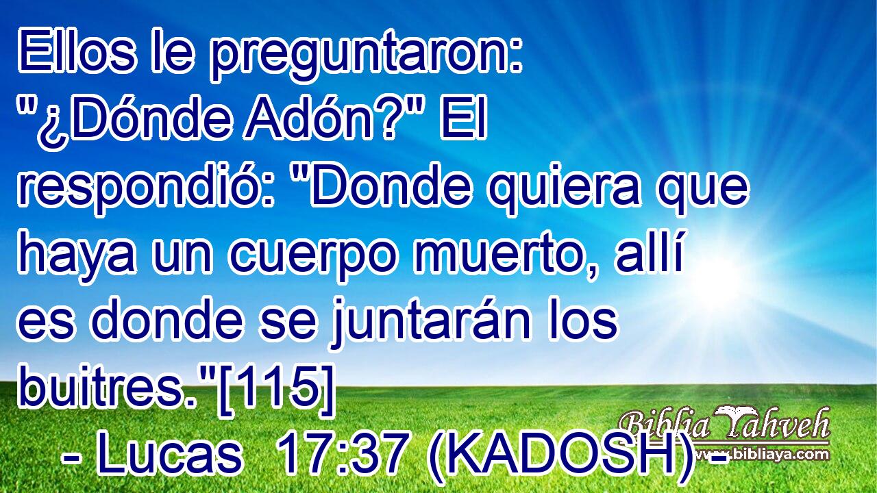  Ellos le preguntaron: 