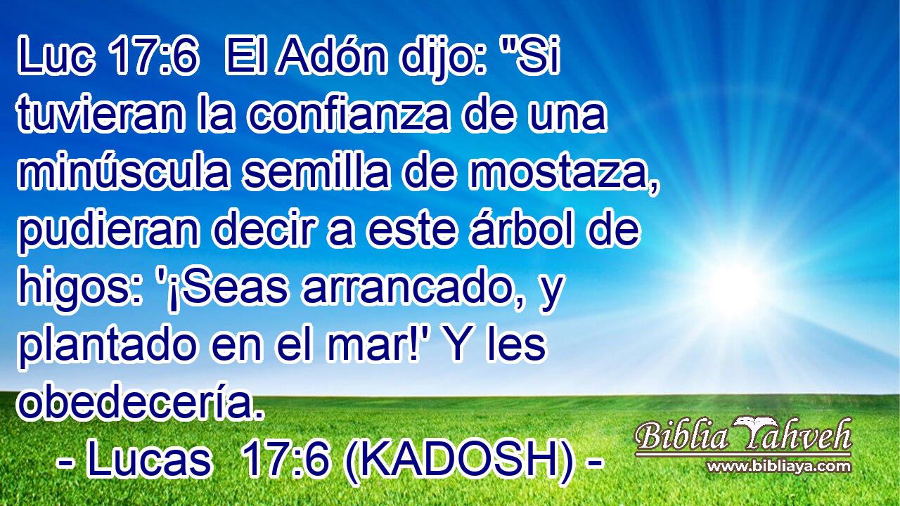  El Adón dijo: 