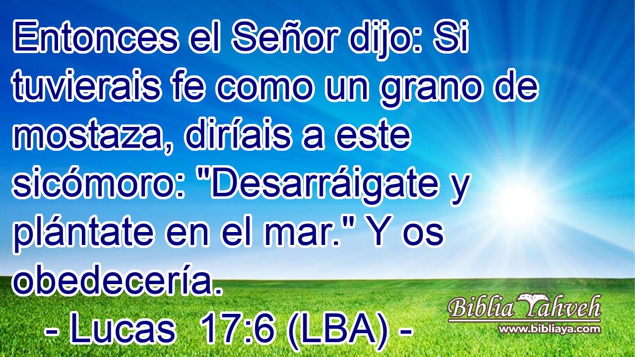 Entonces el Señor dijo: Si tuvierais fe como un grano de mostaza, diríais a este sicómoro: 