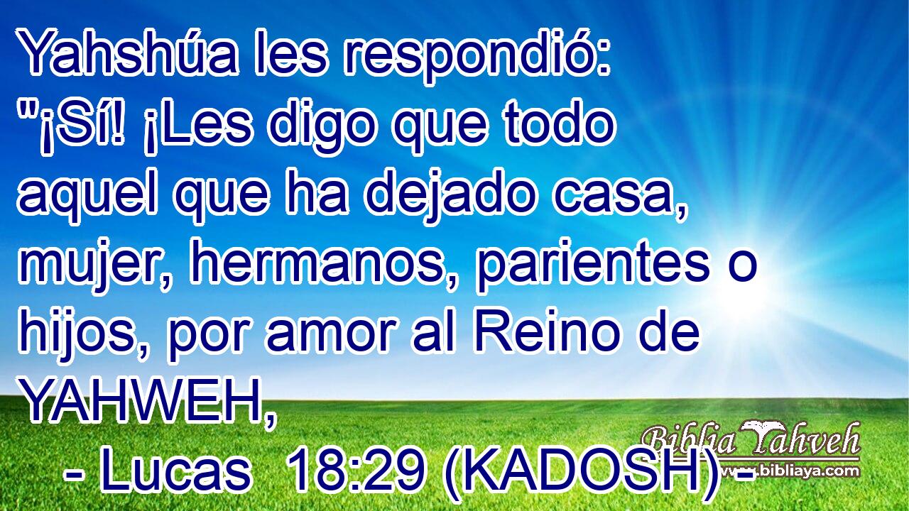  Yahshúa les respondió: 