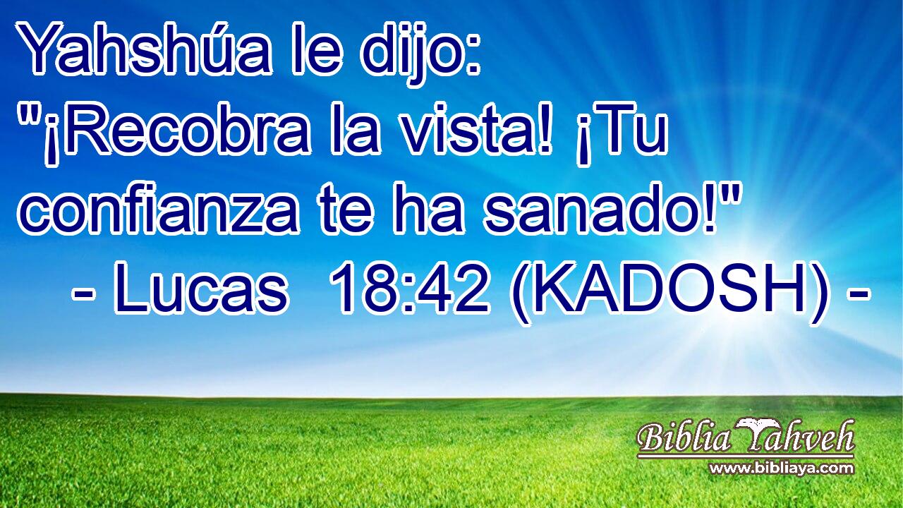  Yahshúa le dijo: 