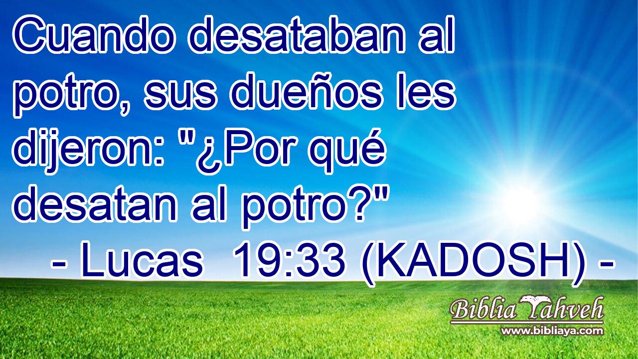  Cuando desataban al potro, sus dueños les dijeron: 