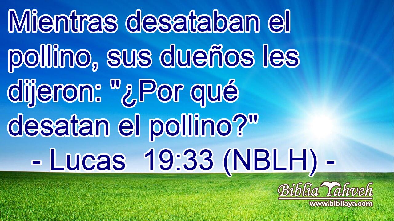  Mientras desataban el pollino, sus dueños les dijeron: 