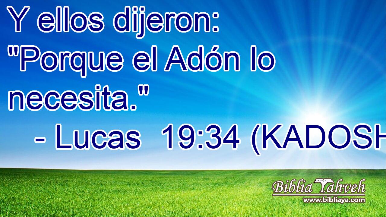  Y ellos dijeron: 