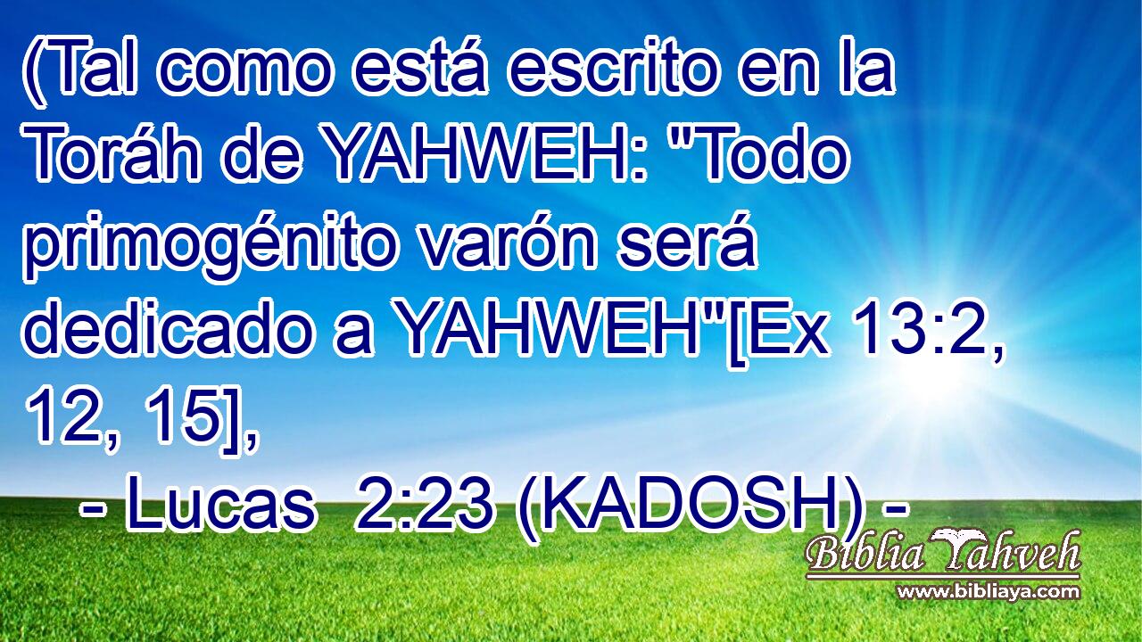  (Tal como está escrito en la Toráh de YAHWEH: 