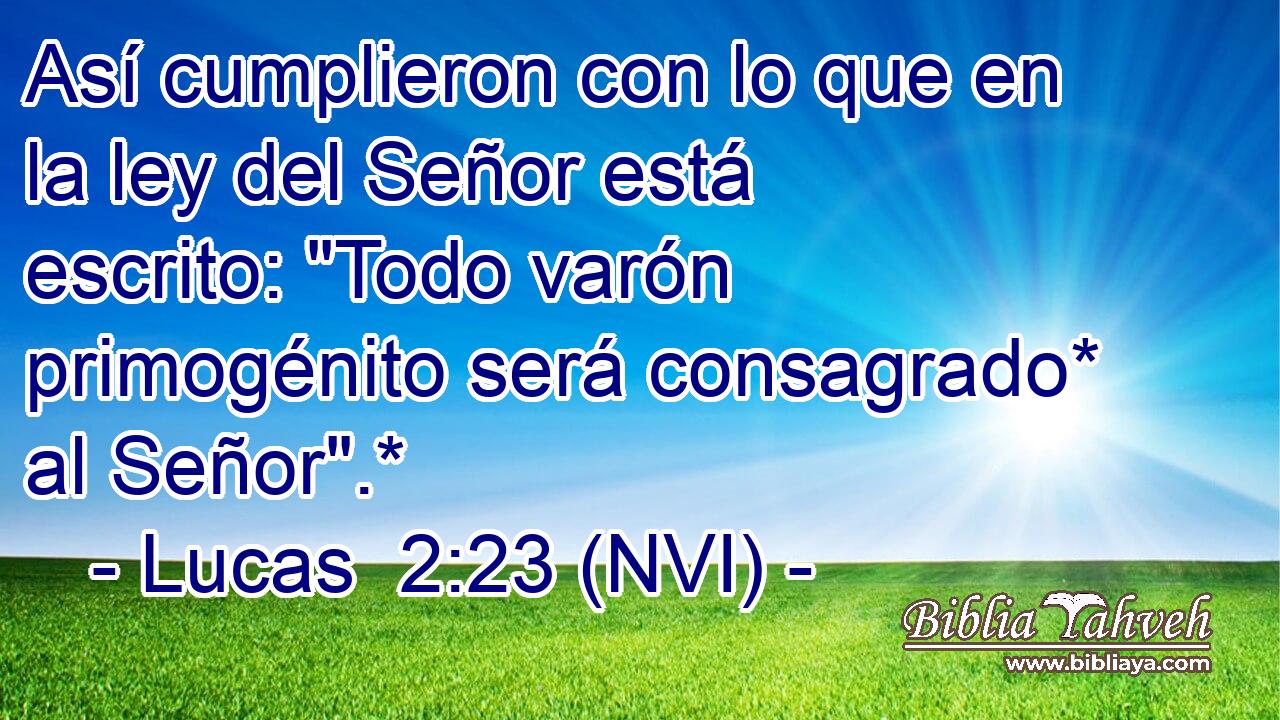  Así cumplieron con lo que en la ley del Señor está escrito: 