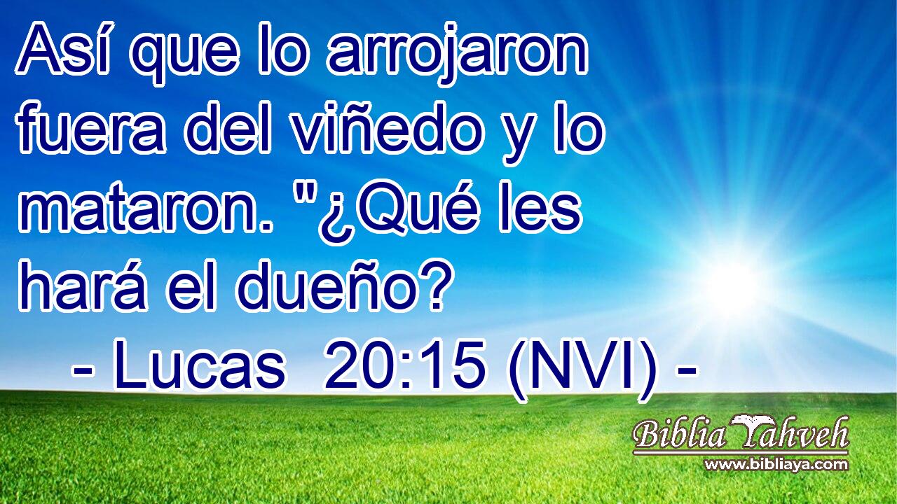  Así que lo arrojaron fuera del viñedo y lo mataron. 