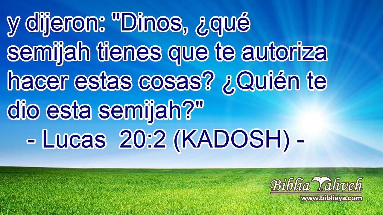  y dijeron: 
