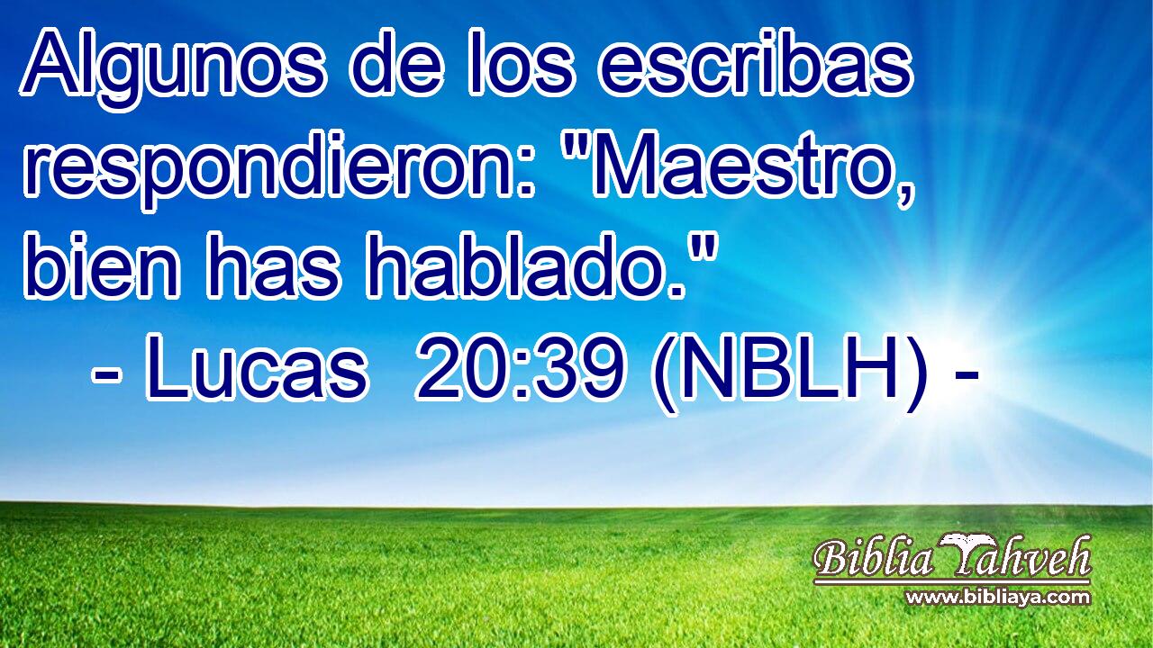  Algunos de los escribas respondieron: 