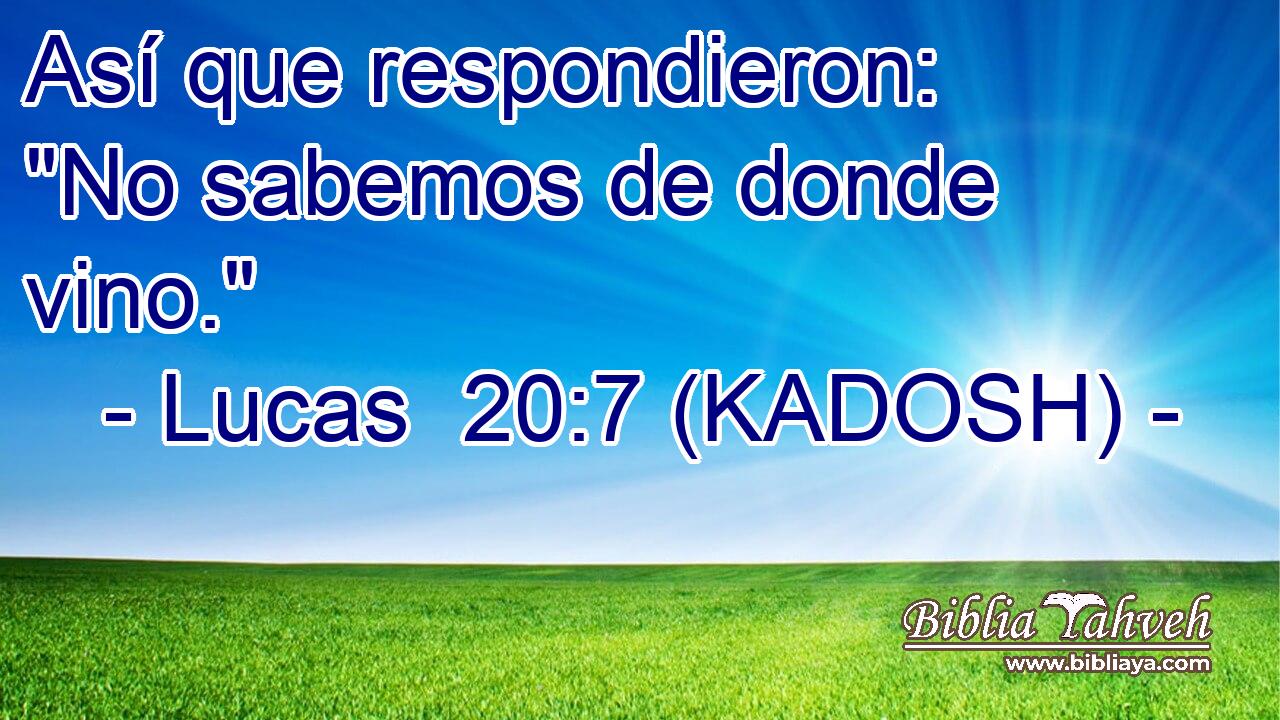  Así que respondieron: 