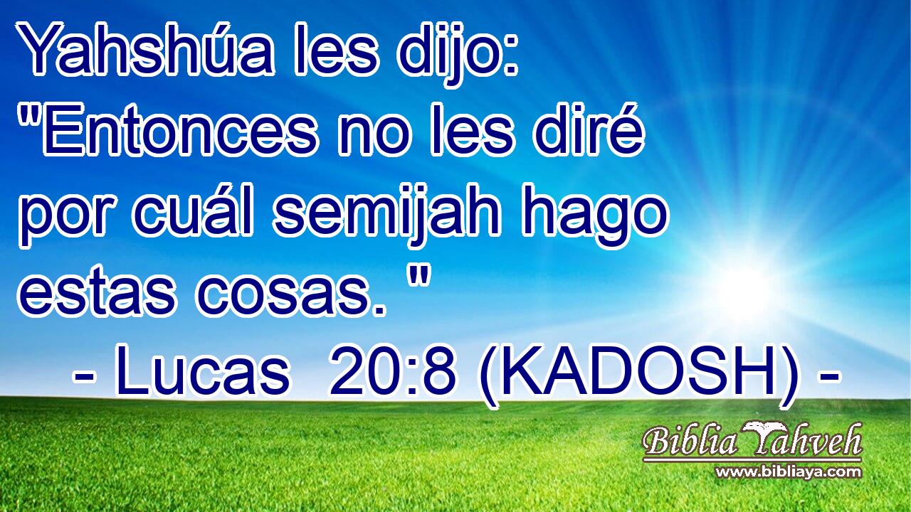  Yahshúa les dijo: 