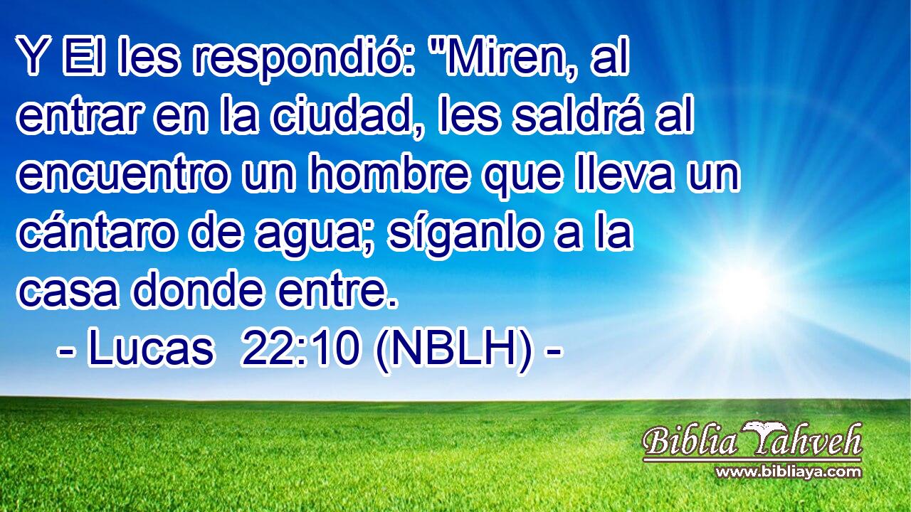  Y El les respondió: 