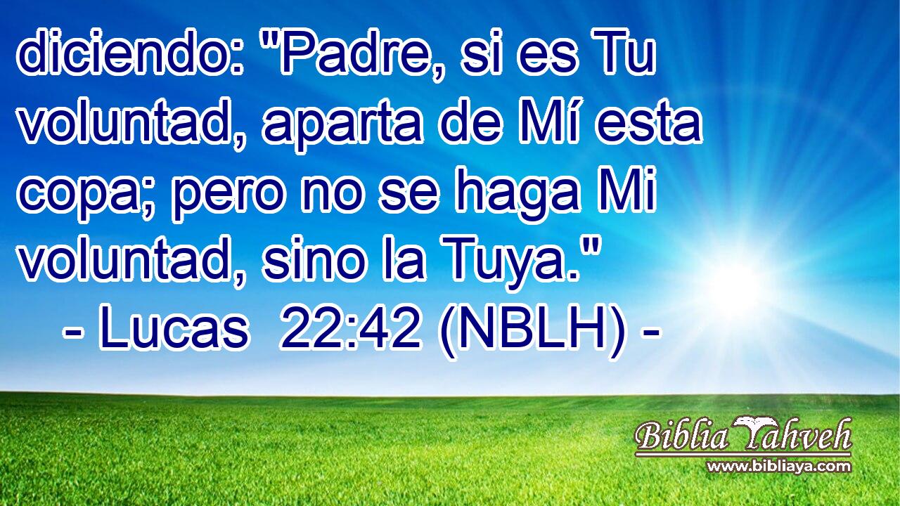  diciendo: 
