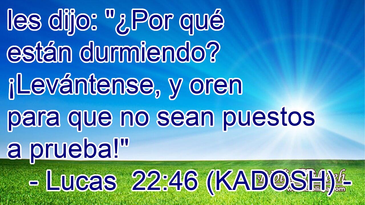  les dijo: 