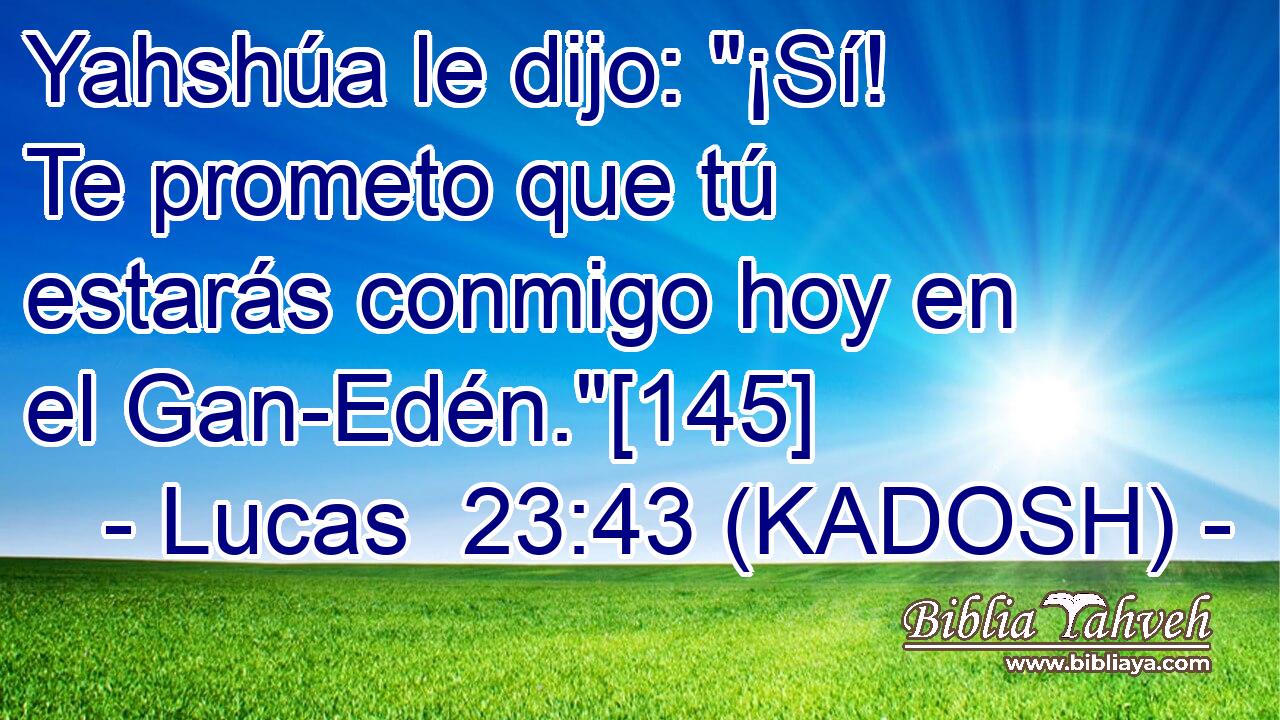  Yahshúa le dijo: 