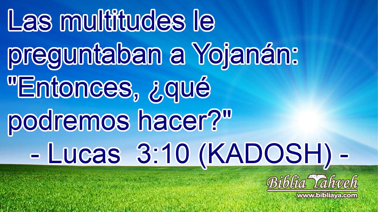  Las multitudes le preguntaban a Yojanán: 