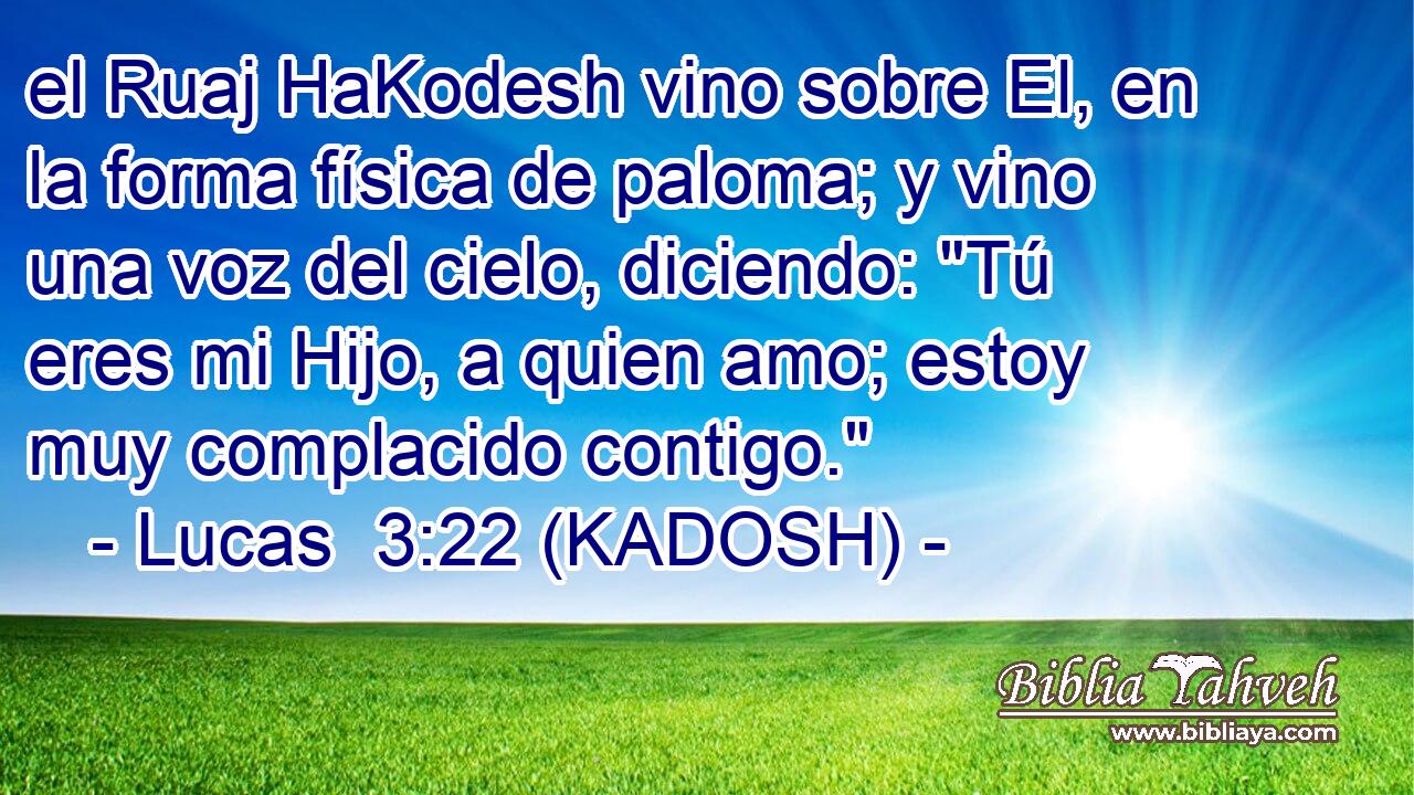  el Ruaj HaKodesh vino sobre El, en la forma física de paloma; y vino una voz del cielo, diciendo: 