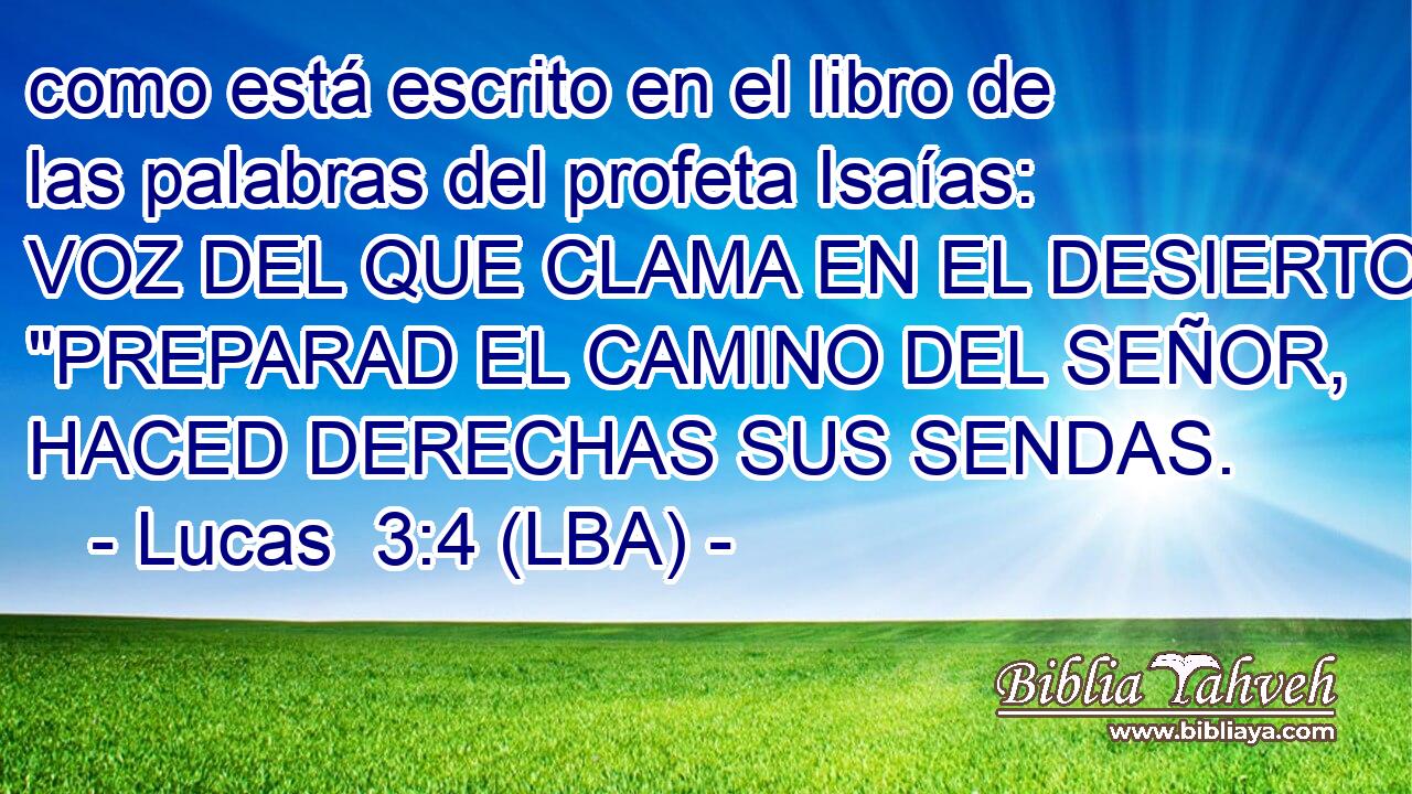 como está escrito en el libro de las palabras del profeta Isaías: VOZ DEL QUE CLAMA EN EL DESIERTO: 