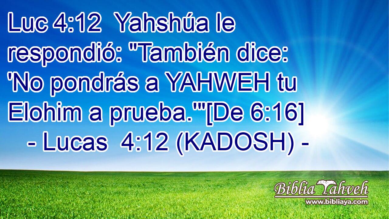  Yahshúa le respondió: 