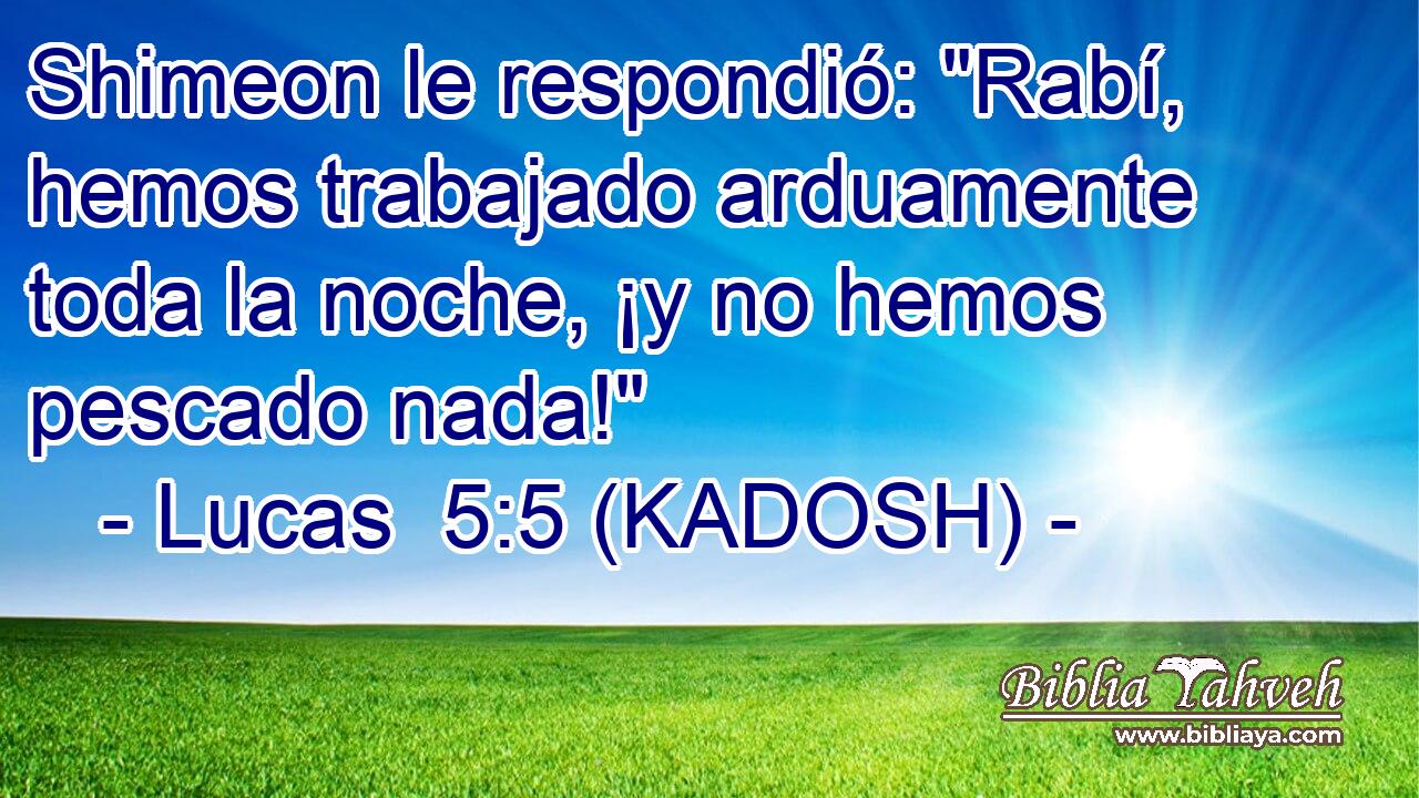  Shimeon le respondió: 