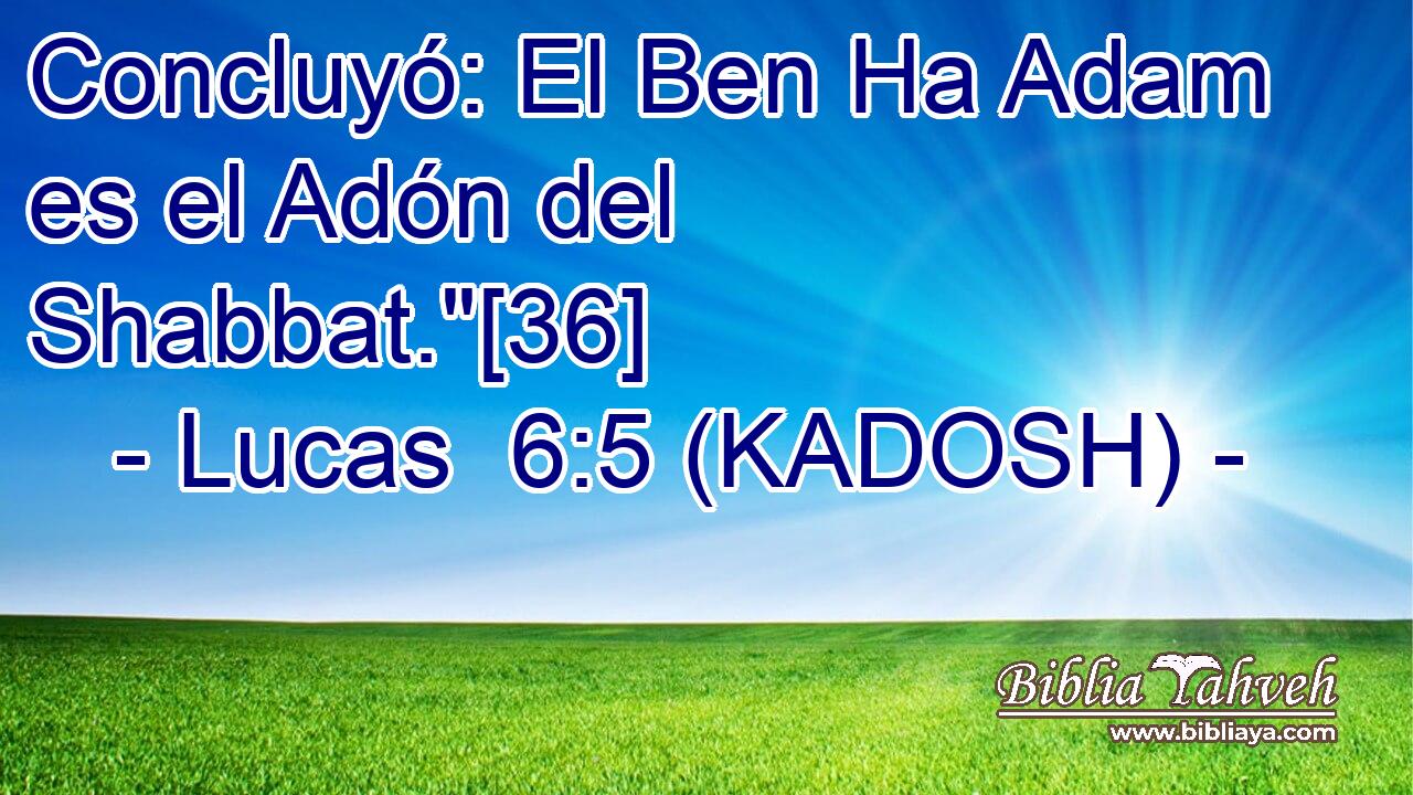  Concluyó: El Ben Ha Adam es el Adón del Shabbat.