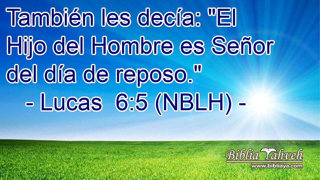  También les decía: 