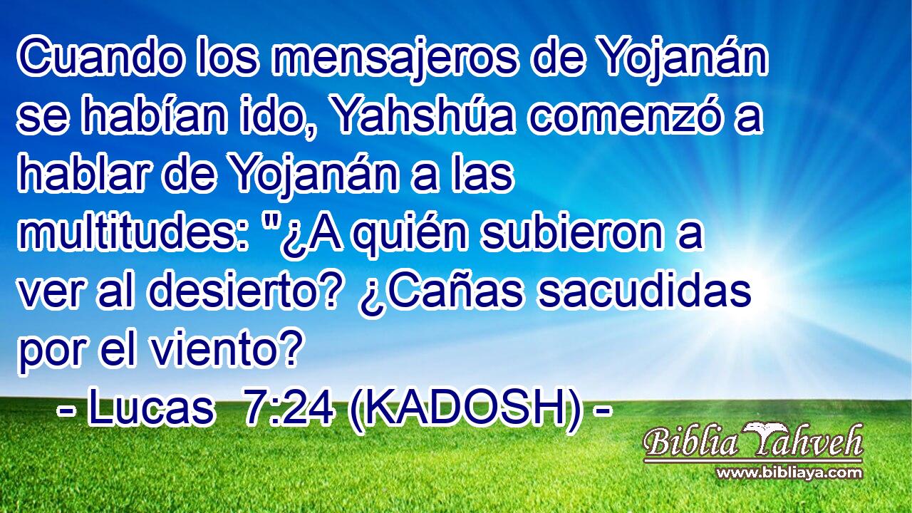  Cuando los mensajeros de Yojanán se habían ido, Yahshúa comenzó a hablar de Yojanán a las multitudes: 