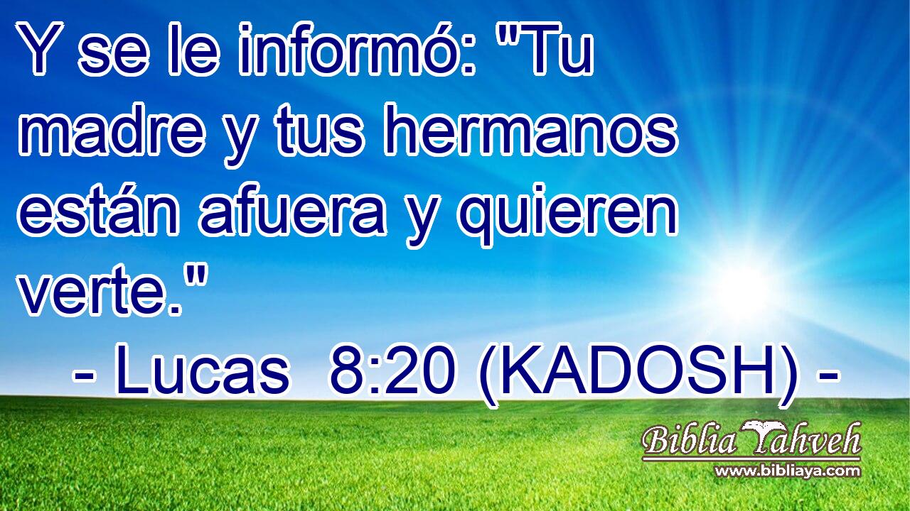  Y se le informó: 