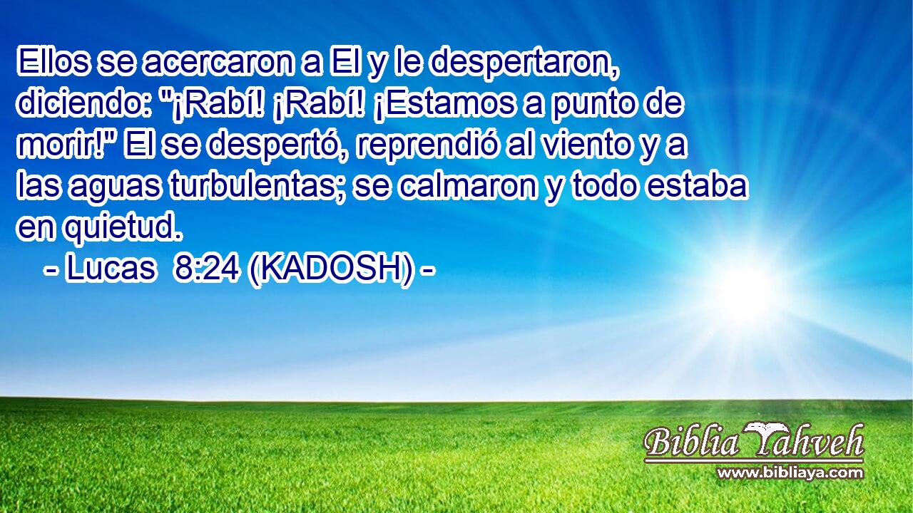  Ellos se acercaron a El y le despertaron, diciendo: 